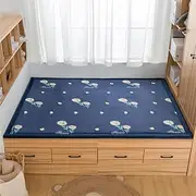 Living Room Home Decor Coral Fleece Area Rug,Modern Nursery Washable Kids Bedroom Rug,Girls Boys Soft Non-Slip Soft Mat,2cm Thick Kids Carpet -I- 100 * 250cm