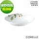 CORELLE 康寧綠野微風醬油碟