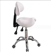 Swivel Rolling Stool with Back Support Dental Adjustable Doctor's Stool Assistant Chair, Ergonomic Seat Hydraulic Swivel Seat Chair for Home Office Dental Tattoo Salon Shop Use (Color : B)