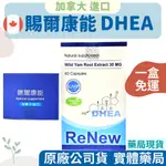 【免運可搭10倍蝦幣卷，多件優惠】 DHEA 賜爾康能膠囊 60粒。惠爾蒙/賜汝蒙/含天然DHEA/洋野山芋/加拿大進口