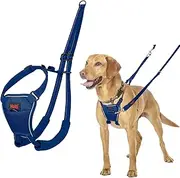 HALTI No Pull Harness - to Stop Your Dog Pulling on The Leash. Adjustable, Lightweight and Easy to Use. Reflective Dog Training Harness for Medium Dogs (Size M, Cobalt Blue)