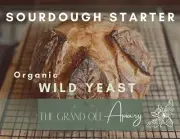 Organic Sourdough Starter