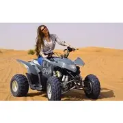 Save 20.00%! Evening Safari Quad Bike in the desert of Lahbab
