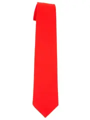 Snr Red Tie