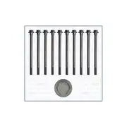 Austral Cylinder Head Bolt Set - 81000800