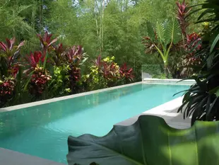 烏布的1臥室 - 150平方公尺/1間專用衛浴Serene Beauty 1 Bedroom Pool Villa near to Ubud