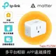【TP-Link】 Tapo P125M 迷你型 藍牙 Wi-Fi 無線網路 Matter 智慧智能插座 開關