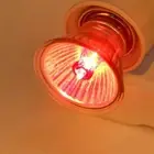 100W UVA UVB Heat Emitter Lamp Holder Bulb Light Heater Pet Reptile Supply Lamp