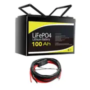12V 100Ah Lithium Battery + Controller to Battery M8 Cable (6m, 50A)
