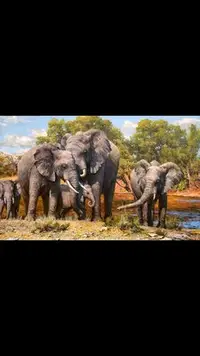 在飛比找Yahoo!奇摩拍賣優惠-北韓ㄧ級美術大象家族油畫