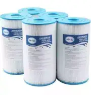 AmiBron 71825 Replaces Hot Springs Spa Filters, Compatible with Watkins 31489, U