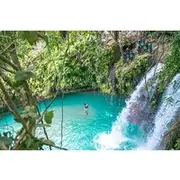 Save 10.00%! Kawasan Falls Canyoning and Moalboal Sardine Run, Sea Turtles
