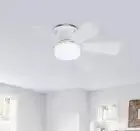 LED 30W Ceiling Fan Light With Remote Control For Dimming Suitable For Household