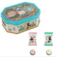 在飛比找蝦皮購物優惠-日本東京迪士尼樂園巧克力鐵盒
