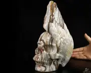 AWESOME GEODE 9.3" Red Crazy Lace Agate Carved Crystal Skull & Wing, Healing