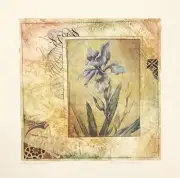 “Dutch Iris, # Seven”, mixed media by Arnold Iger