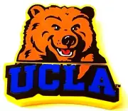 UCLA USB Bruin Bear Flash Drive 4 GB Memory Stick Collegiate Teddy Store Files