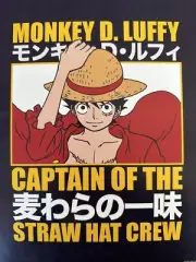 Anime Monkey D Luffy Wall Framable Poster Print