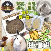 在飛比找蝦皮購物優惠-【台灣出貨 開心吃草】 貓草種子 小麥草 小麥草種子 種植組