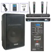 15 inch 2-Way PA Speaker 15" 3500W Peak Powered Speaker W/ 2CH Wireless UHF Mic