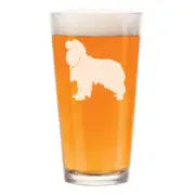 16 oz Beer Pint Glass Cavalier King Charles Spaniel
