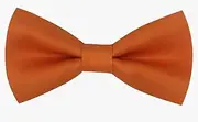 [Mini Mart Online Limited] Boys Kids Plain Basic Back Dickie Bow Tie