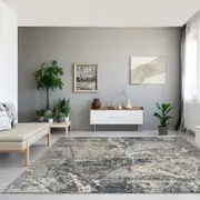 Dorsey Picturesque Grey Rug