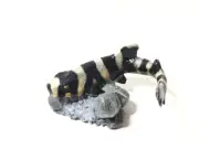 Japan Exclusive BANDAI NAMCO Brownbanded Bamboo Shark PVC Animal Fish Figure