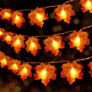 Fall Lights Battery Operated Fall Garland with Lights, 2 Pack 10Ft 20 Led Fall M