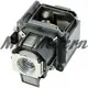 EPSON ◎ELPLP62原廠投影機燈泡 for 、H346A、4100、G5450WUNL、G5550NL、G545