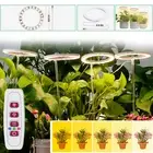 USB LED Angel Ring Grow Light Phyto lamp For Plants Full Spectrum Timing Lamp