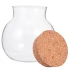 Glass Storage Tank Clear Container Baby Air Tight Jars with Lids Cork
