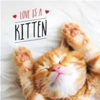 在飛比找三民網路書店優惠-Love is a Kitten：A Cat-Tastic 