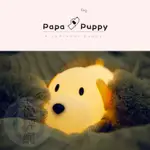 LED小狗伴睡燈 小夜燈 呆呆狗 桌燈 床頭燈 氣氛燈 USB供電 PAPA PUPPY