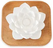 Plant Therapy Passive Lotus Flower Aromatherapy Diffuser - A Chic and Natural Home, Office, and Travel Essential Oil Diffuser