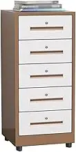 Metal File Cabinet with 5 Drawers with Lock for Home Office Vertical File Cabinet Organizer