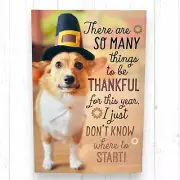 Thanksgiving THANKFUL FOR YOU Greeting Card Hallmark Dog Pilgrim Foil Accent