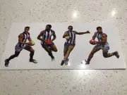 North Melbourne AFL TEAM legends 4 SET sticker, kangaroos , NMFC, Football,cats