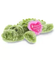 DolliBu Happy Mother's Day Super Soft Plush Alligator Figure - 11.5" Inches