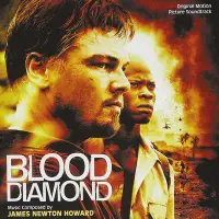 在飛比找Yahoo!奇摩拍賣優惠-血鑽石 Blood Diamond- James Newto