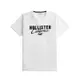 Hollister 海鷗 HCO 熱銷刺繡文字海鷗圖案短袖T恤-白色