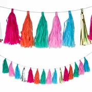 Bright Tassel Garland, Party Decor, 1 Piece