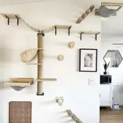 Wall-mounted Cat Climbing Frame 50cm Cat Climbing Ladder Hammock Activity Sisa