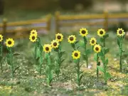 Bachmann 32506 HO Scale Sunflowers 1"Tall 16Pk