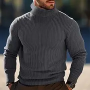 Men's Turtleneck Sweater Wool Sweater Pullover Sweater Jumper Jumper Ribbed Knit Regular Tops Knitted Slim Fit Plain Turtleneck Modern Contemporary Work Daily