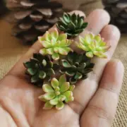 Miniature Dollhouse Green Light Green Cactus Succulents Plant Craft Window Decor