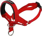 Dog Head Collar Halter Red 6 Sizes (L: 10.25"-12.25" Snout)