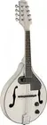 White acoustic-electric bluegrass mandolin with nato top