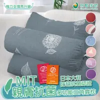 在飛比找momo購物網優惠-【格藍傢飾】MIT親膚抗菌三角多功能抬腿/靠枕(腰靠枕 靠墊