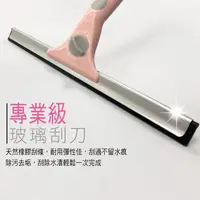 在飛比找蝦皮購物優惠-《家簡塵除 Easy Cleaner 專業商用玻璃刮刀》(3